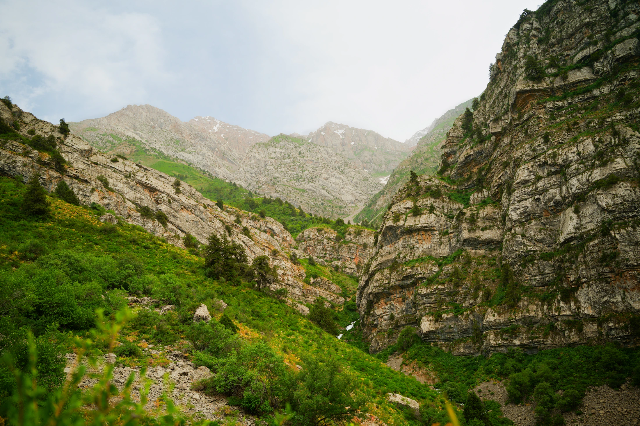 Tours across Uzbekistan